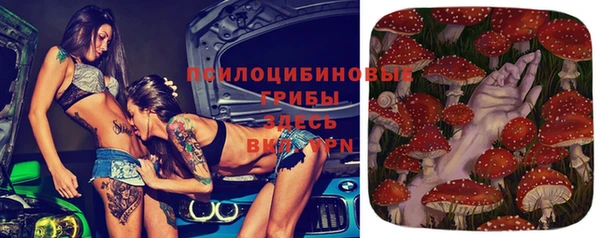 прущая мука Волоколамск